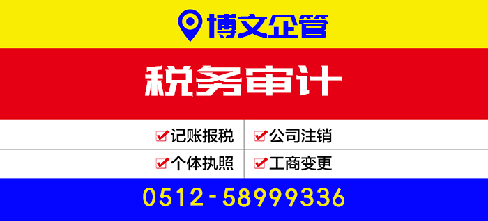 稅務(wù)審計(jì)